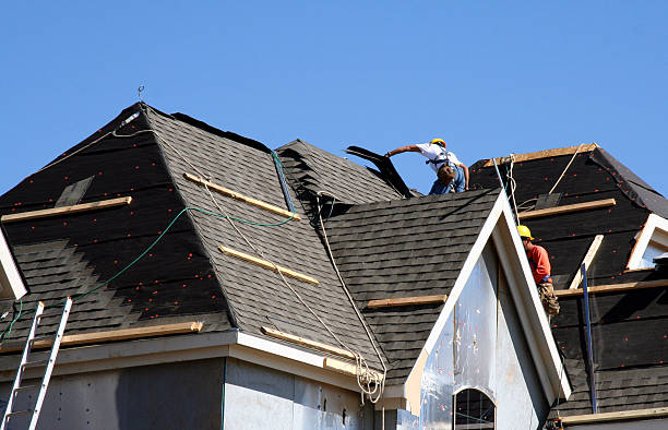 Best Flat Roof Repair Services  in Larimore, ND
