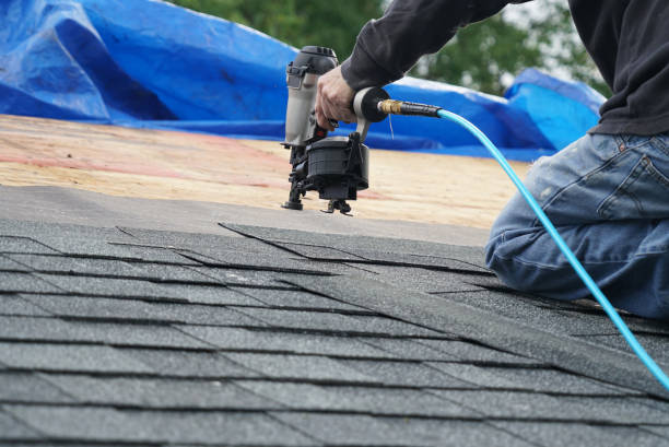 Best Emergency Roof Repair  in Larimore, ND