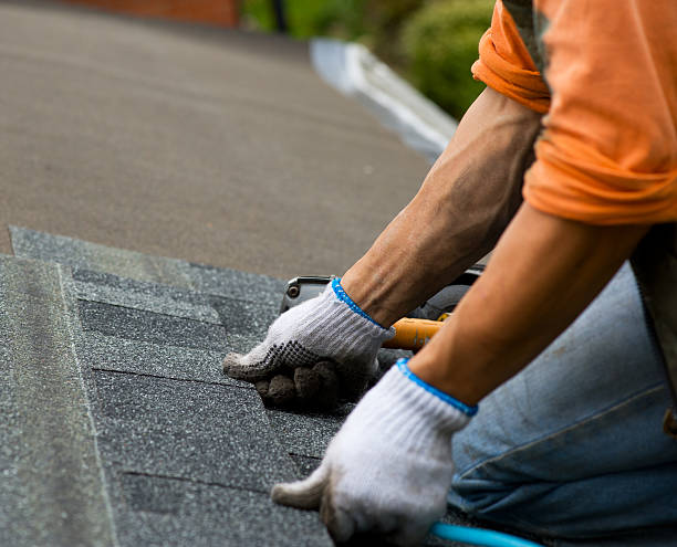 Best Residential Roofing Contractor  in Larimore, ND