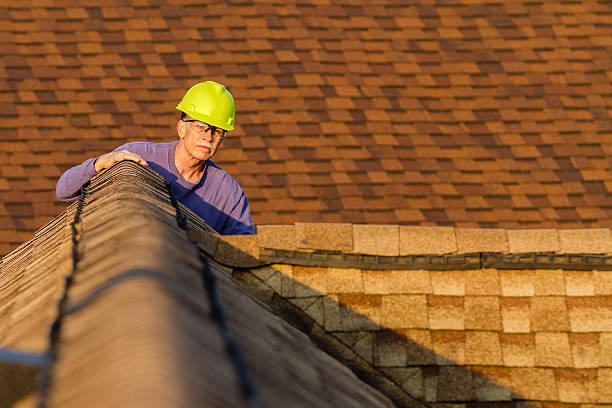 Best Roof Maintenance Services  in Larimore, ND