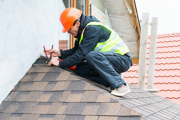 Best Shingle Roofing Installation  in Larimore, ND