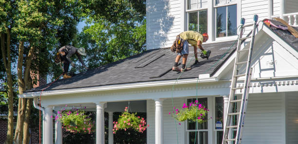 Best Roof Leak Repair  in Larimore, ND