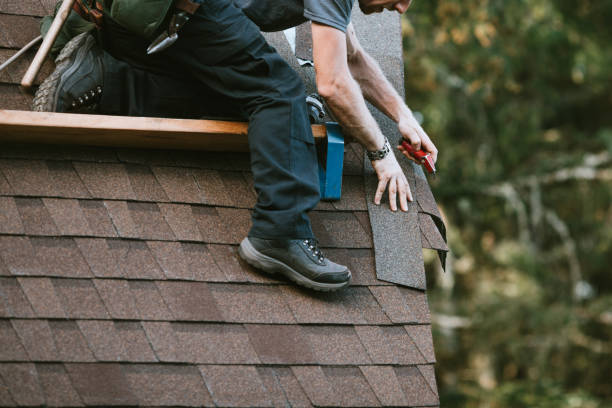 Best Metal Roofing Contractor  in Larimore, ND
