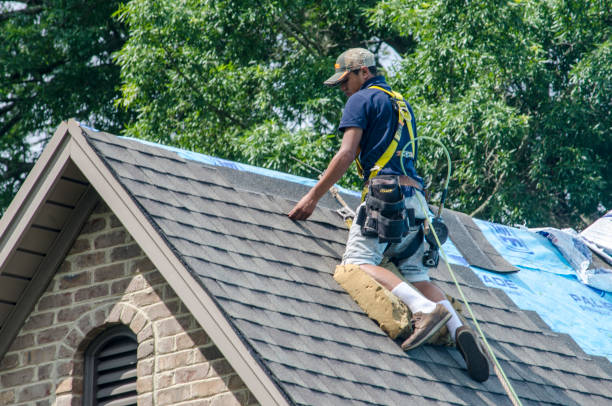 Best Roof Repair Services  in Larimore, ND